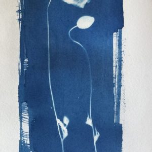 Cyanotype